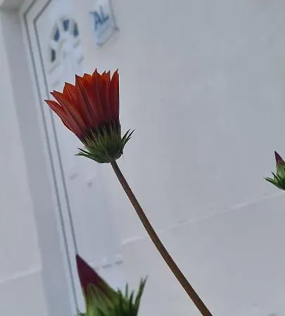 Caldas Relax & Leisure Semesterbostad